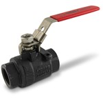 1/4in FNPT Carbon Steel 2K Ball Valve