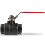 1/4in FNPT Carbon Steel 2K Ball Valve