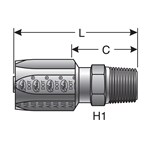 C5 Male Pipe (NPTF- 30° Cone Seat)-